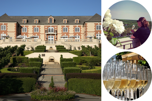 Domaine Carneros